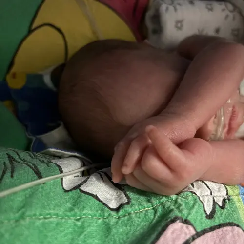 Arabella&rsquo;s Story